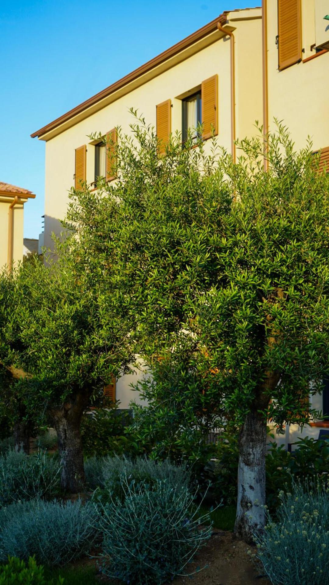 Residence Catalina Saint-Florent (Corsica) Exterior foto