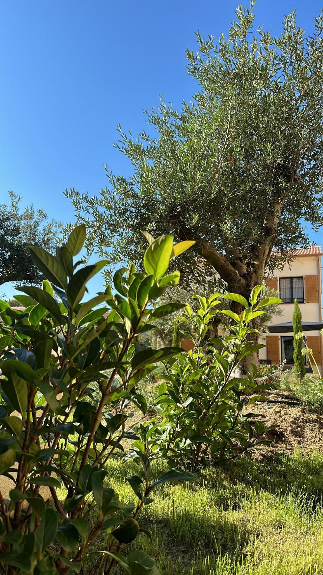 Residence Catalina Saint-Florent (Corsica) Exterior foto